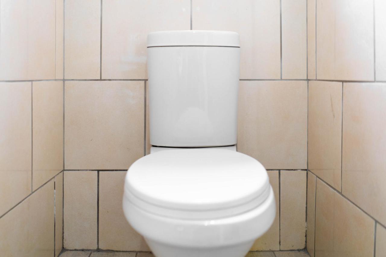 בלוויל Albrine Lodge מראה חיצוני תמונה